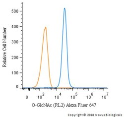 O-GlcNAc Antibody (RL2), Alexa Fluor 647, Novus Biologicals 0.1 mL | Buy Online | Novus Biologicals | Fisher Scientific